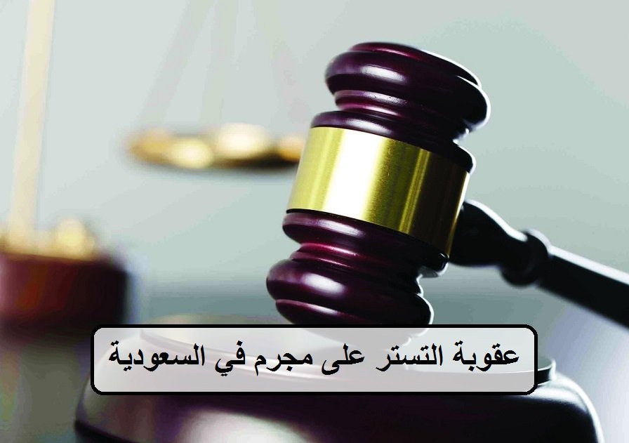 عقوبة التستر على مجرم في السعودية